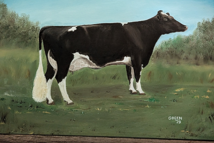 A painting depicting one of the cows from a family the Kirks showed for more than 50 years during their time in the dairy industry.